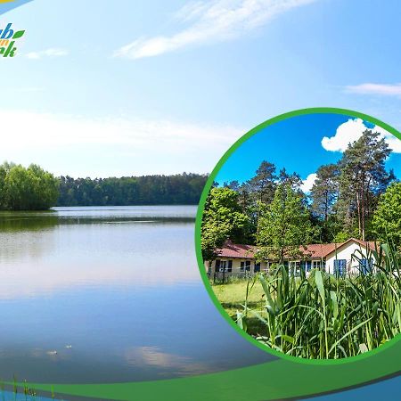 Jagd-Angler-Suite-03-Im-Wald-Am-See 퀴리츠 외부 사진
